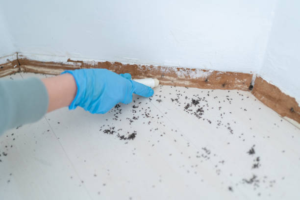 Best Pest Prevention Services  in Union City, NJ